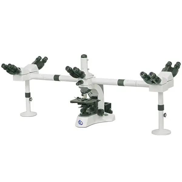 Microscopio binocular YR0234