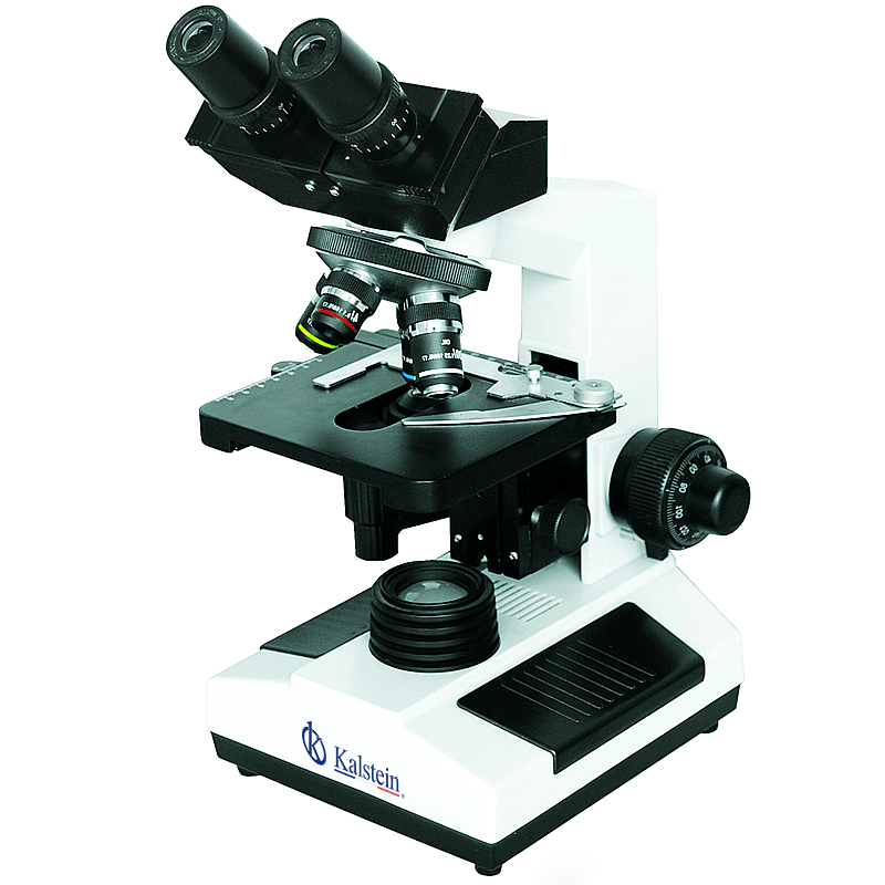 Interpretación de resultados y lectura de mediciones del microscopio biológico YR0242