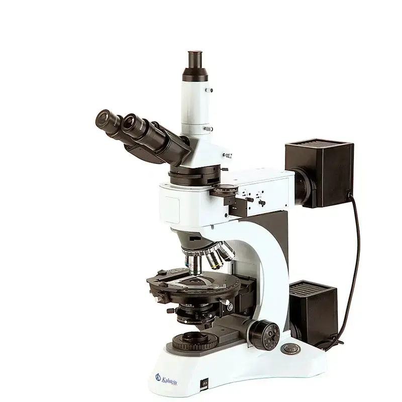 Microscopio Trinocular YR0263: Versatilidad y Precisión en Laboratorios