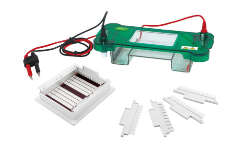 Electroforesis Horizontal YR03416: Rendimiento Técnico y Seguridad