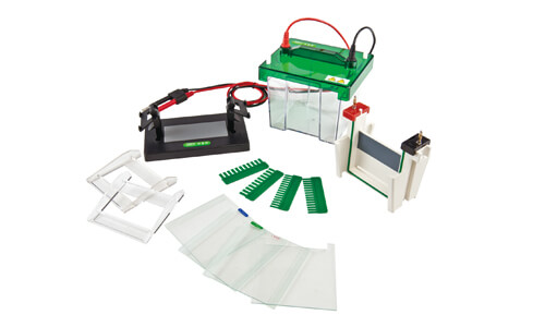 Normativas ISO/IEC y cumplimiento regulatorio en laboratorios de electroforesis vertical