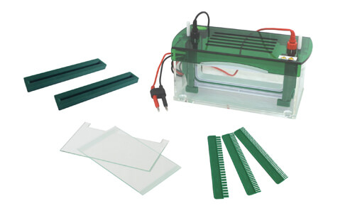 Adaptaciones del tanque de electroforesis vertical YR03428 en sectores clínicos, industriales, alimentarios, veterinarios y educativos
