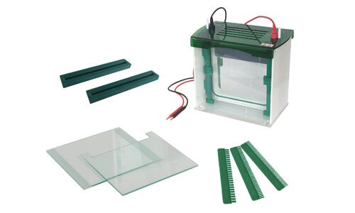 ¿Cuál es el principio de funcionamiento de la celda de electroforesis de gel vertical YR03429?