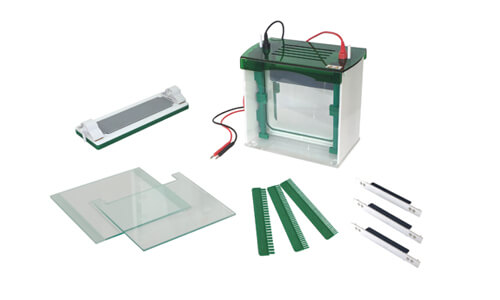 Adaptaciones del tanque de electroforesis vertical rápido SSR YR03431 en sectores clínicos, industriales, alimentarios, veterinarios y educativos