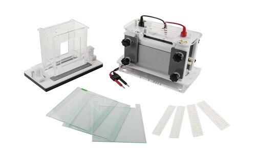 Principio de funcionamiento y fundamento científico del tanque de electroforesis vertical YR03432