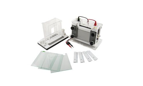 Adaptaciones del mini electroforesis YR402 en sectores clínico, industrial, alimentario, veterinario y educativo