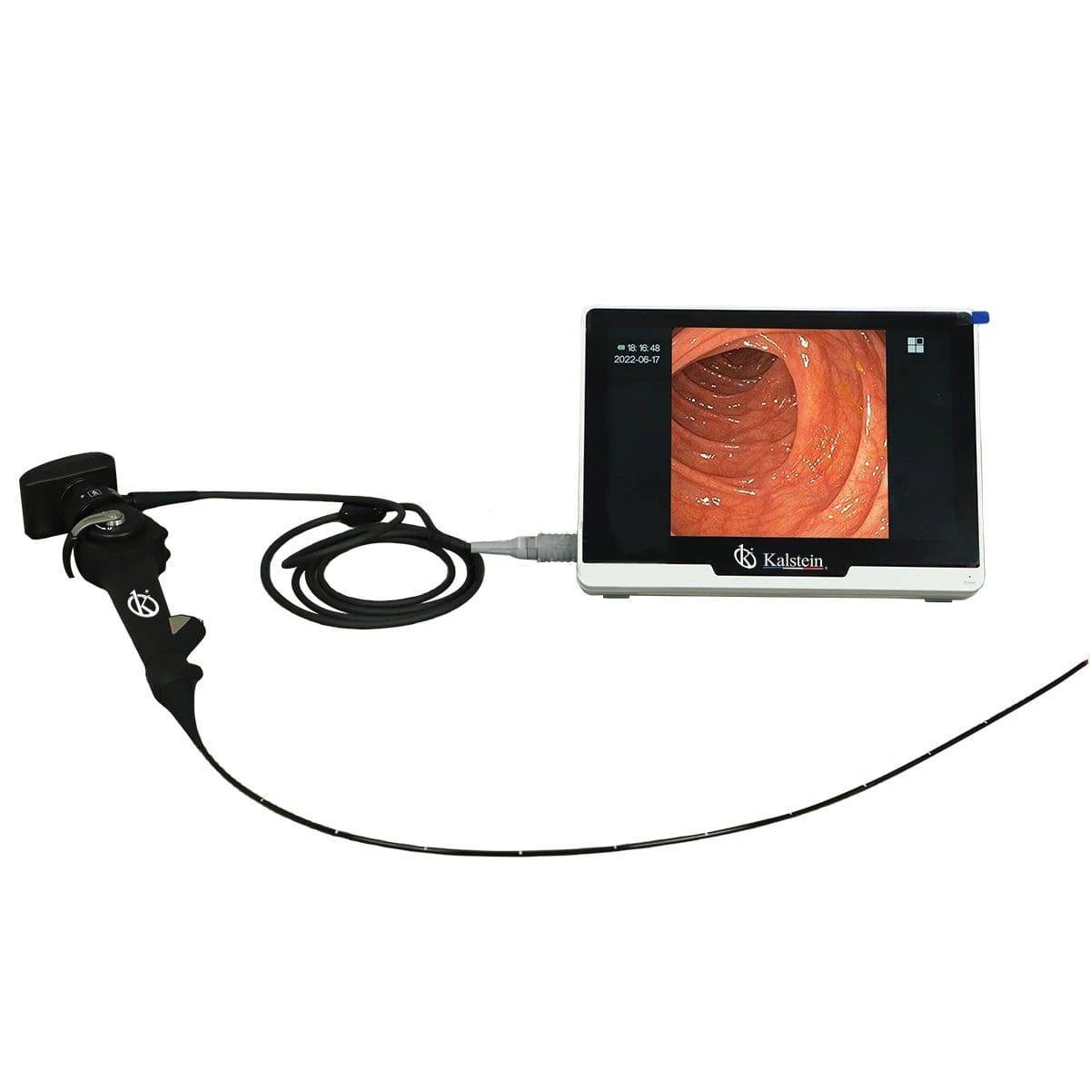 Garantía y Vida Útil Esperada del Endoscopio de Vídeo Veterinario YR06151