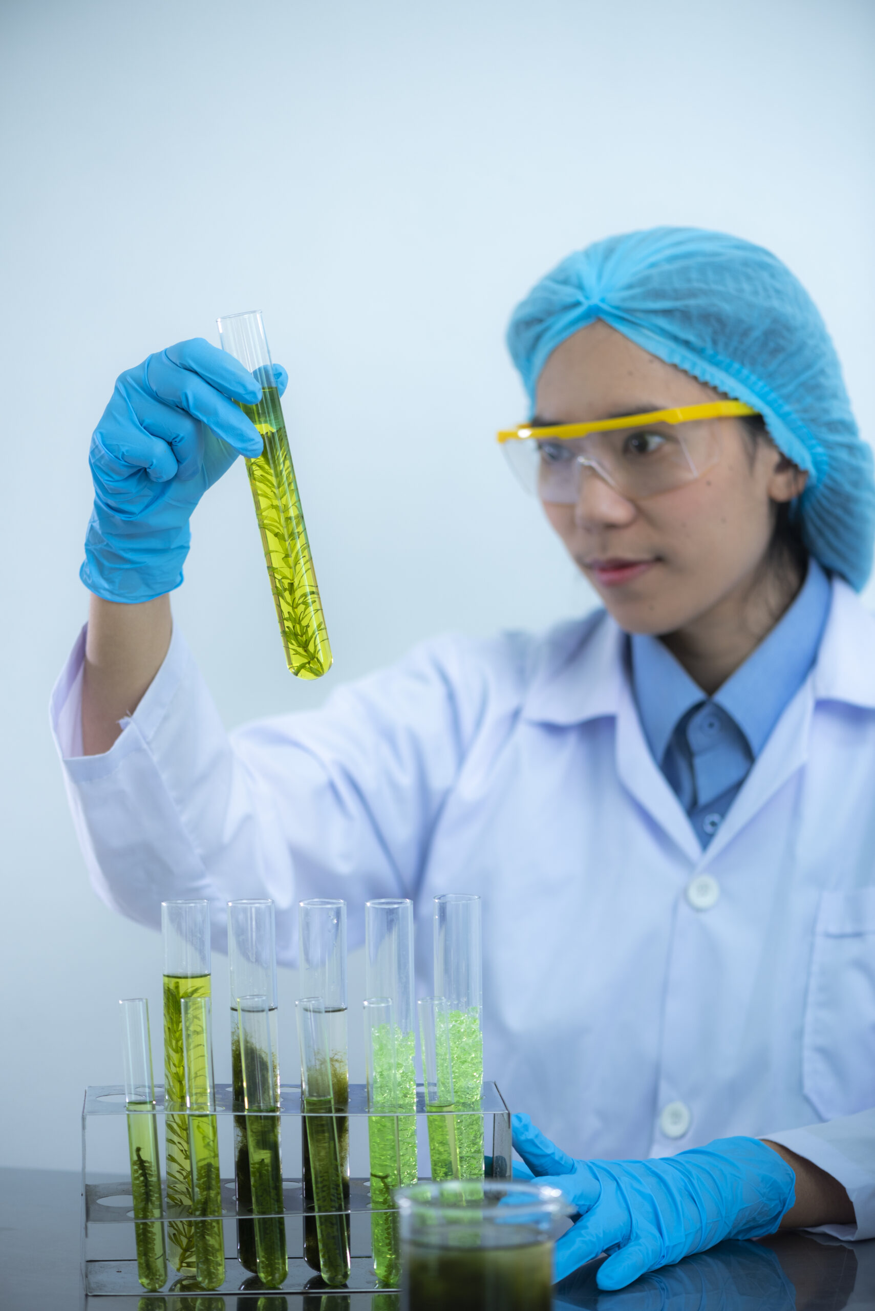 Importancia del Fluorómetro