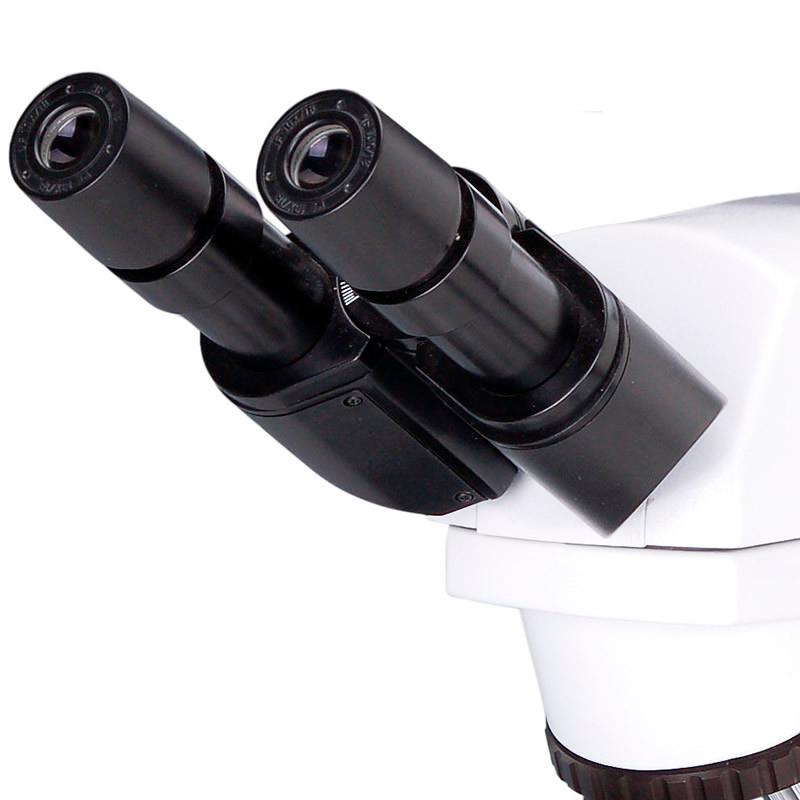 Microscopio de laboratorio YR0237 // YR0237-1(3D) – 1