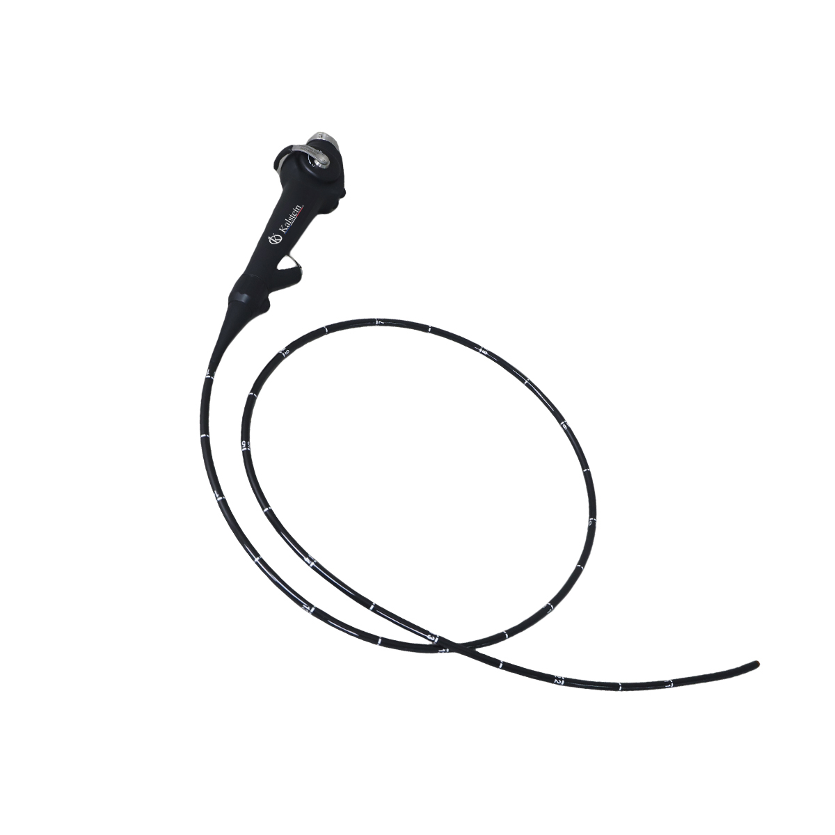 Explorando el Mundo Animal: El Potencial del Endoscopio de Video Veterinario