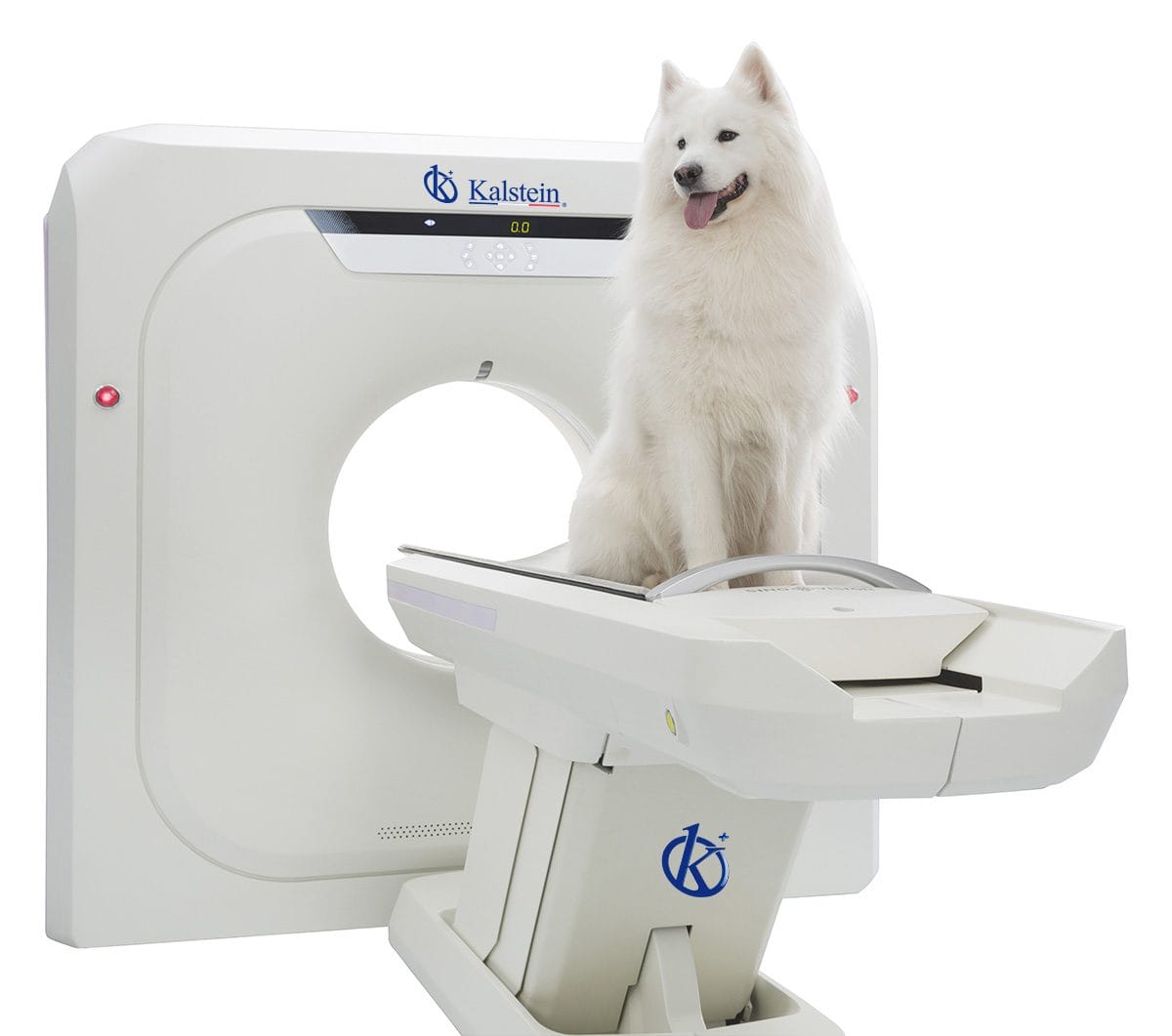 De lo visible a lo invisible: una mirada detallada a los equipos de imagenología veterinaria de Kalstein