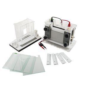 Impulse Sus Experimentos Científicos con La Tecnología del Equipo de Electroforesis