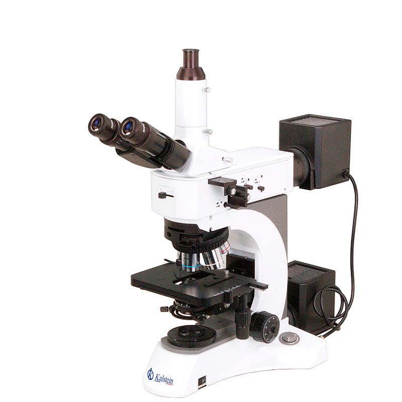 Comparativa de Microscopios Metalúrgicos: Kalstein YR0255 vs Amscope XJP-6A