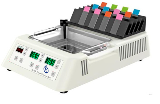 Baño de agua de flotación (baño de agua/secador de portaobjetos) YR457