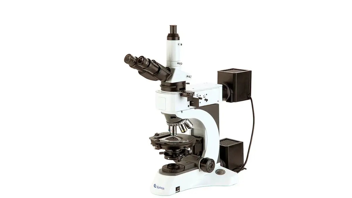 Microscopio Trinocular YR0263: Versatilidad y Precisión en Laboratorios